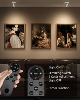 EZVALO Spot Light head rotation directs light precisely onto the subject.