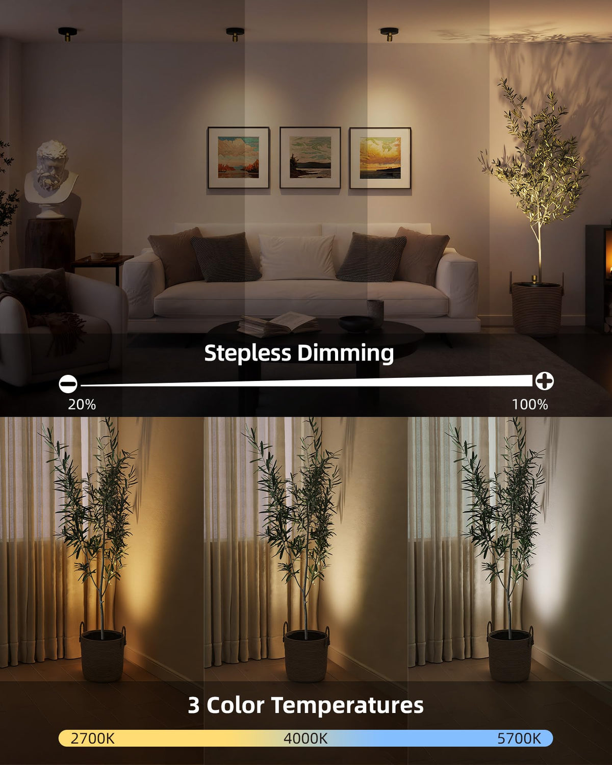 EZVALO Spotlight Indoor illuminates plants with warm accent light