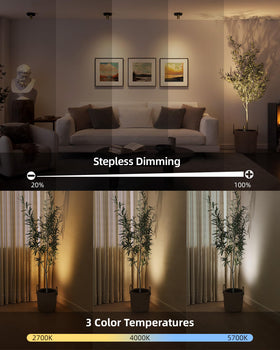 EZVALO Spotlight Indoor illuminates plants with warm accent light