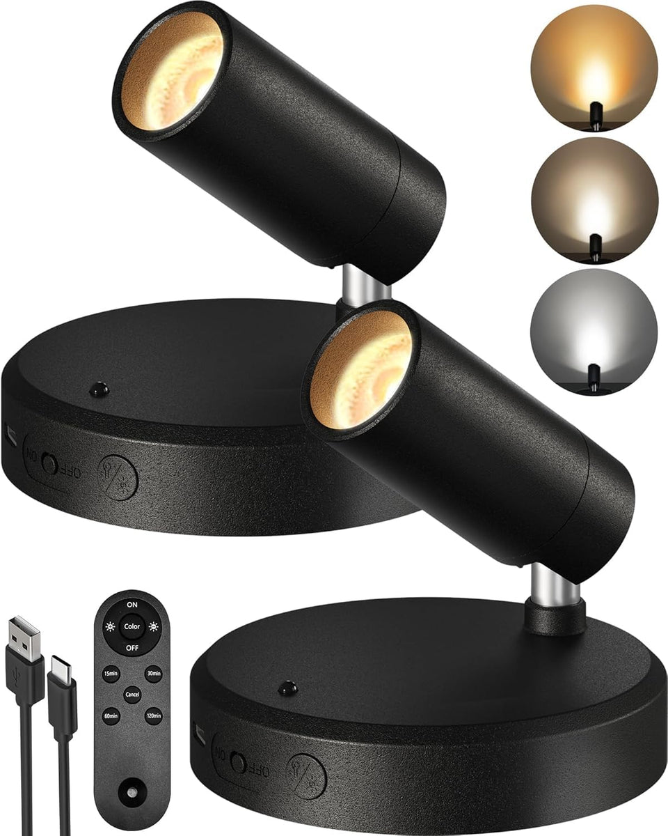 EZVALO Spotlight indoor highlights art with remote precision and warm glow.