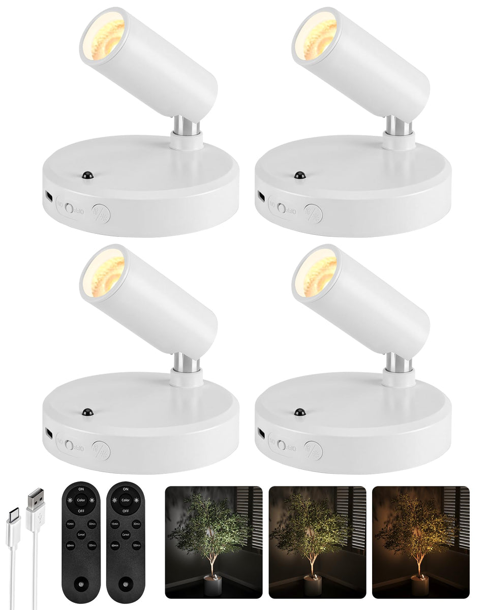 EZVALO Spot Lights highlight a plant accent with glare-free illumination.