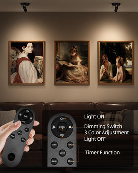 EZVALO remote-controlled spotlight for precise artwork accent lighting
