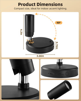 EZVALO produces 100 lumens of glare-free accent lighting for small objects.