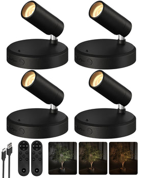EZVALO indoor spotlights with remote enhance artwork with soft ambient lighting.