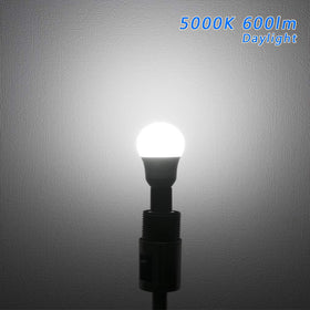 FAGUANGAO LED bulbs provide 600 lumens, 60W-equivalent brightness.