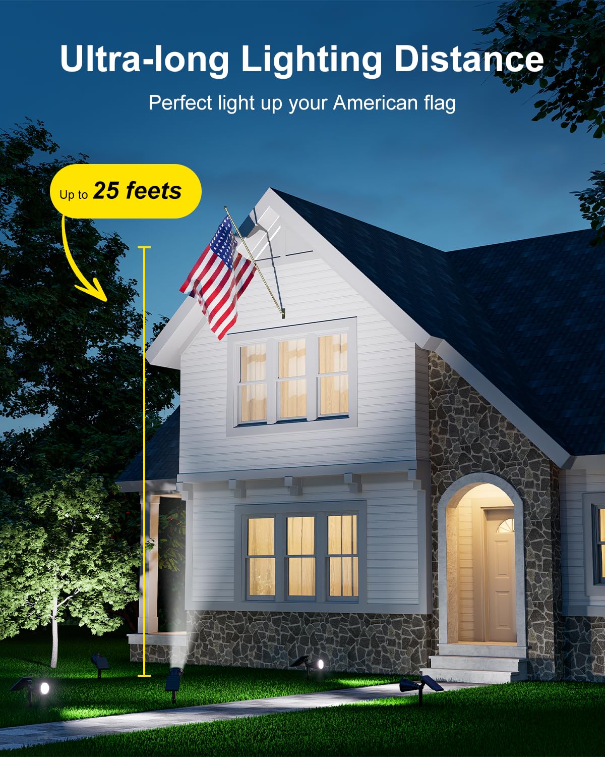 FALOVE palm tree beam emphasizes tall foliage with long-range coverage
