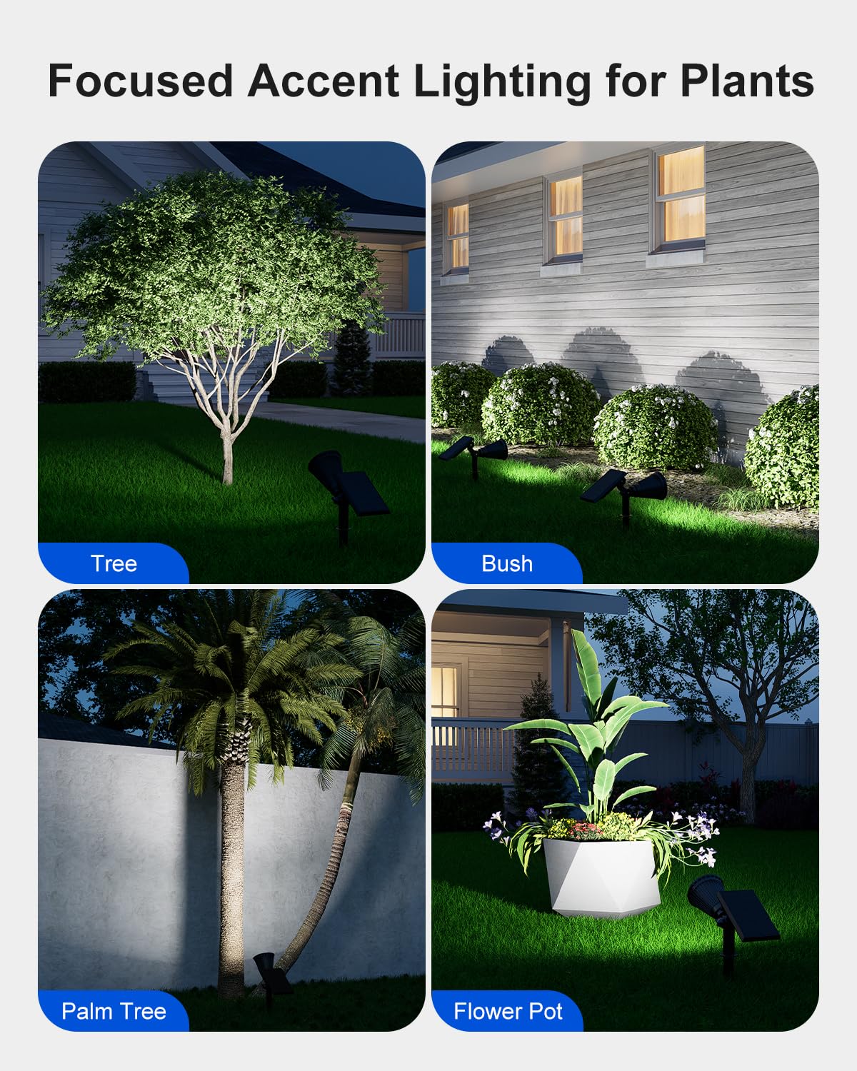 Falove solar spotlight enhances a hedge with clean, defined beams.
