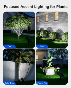 FALOVE solar spotlight along the yard edge illuminates pathways.
