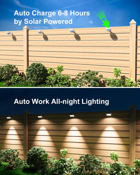 FALOVE weatherproof white shell lights withstand rain and wind while staying bright.
