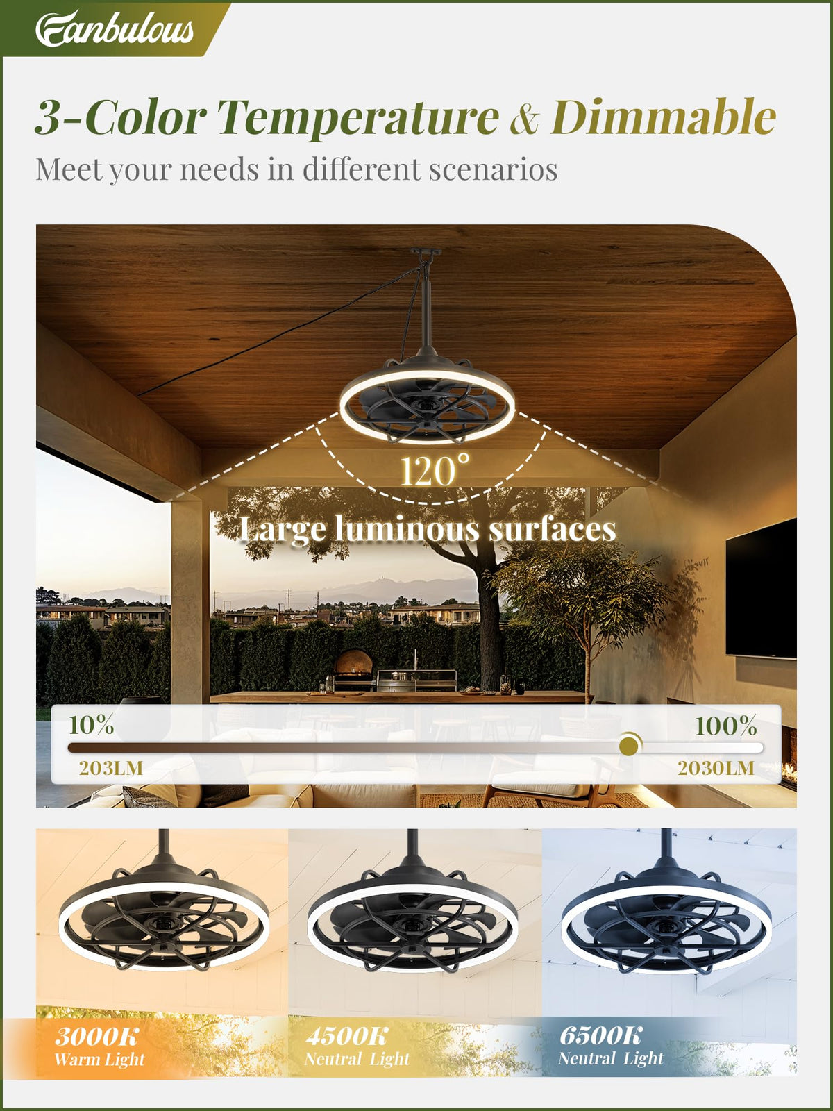 Fanbulous 3CCT LED dimmable light for versatile ambiance