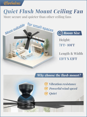 Fanbulous quiet DC motor delivers smooth airflow with low noise