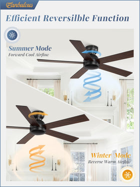 Fanbulous reversible direction to circulate warm or cool air