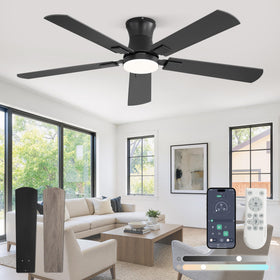 Fanbulous 52-inch ceiling fan with light in black, double-color blades for versatile decor