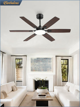Fanbulous 52in ceiling fan for indoor or sheltered outdoor spaces.