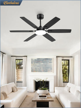 Fanbulous 52in ceiling fan with reverse rotation for year-round comfort.