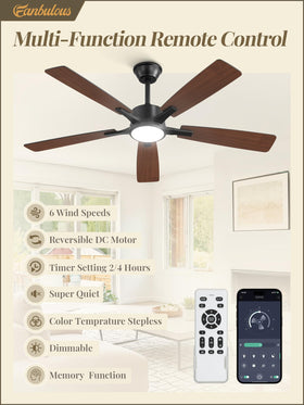 Fanbulous 52in ceiling fan with lights—installed in a living room for balanced airflow.