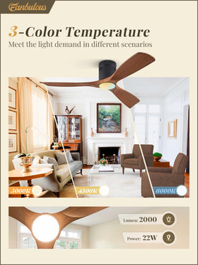 Fanbulous ceiling fan lights show warm, neutral, and cool temperature options.