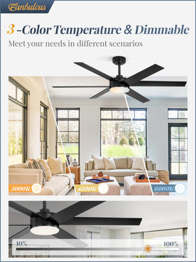 Fanbulous ceiling fan with 6 blades provides smooth airflow for indoors or covered outdoor spaces.