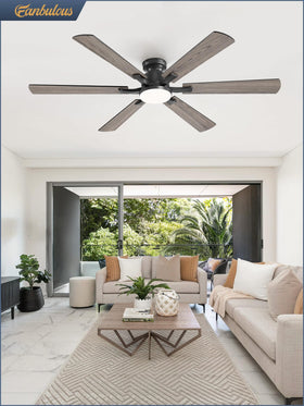 Fanbulous 60-inch diameter suitable for rooms up to 18 by 18 feet.