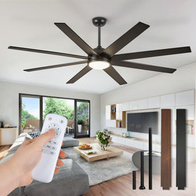Fanbulous 65-inch ceiling fan with dual-color blades for versatile cooling.