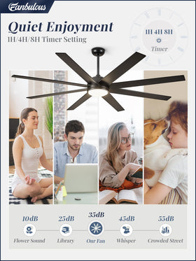 Fanbulous 65-inch blade fan includes multiple downrods for flexible installation.