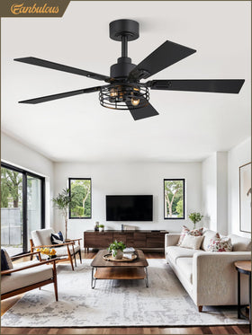 Fanbulous DC reversible motor offers year-round comfort options.