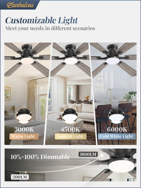 Fanbulous dimmable LED light delivering warm to cool tones for any mood.