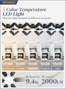 Fanbulous dimmable LED lighting with 5CCT for customizable mood and visibility.