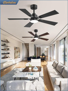 Fanbulous ceiling fan compatible with downrod mounting and sloped ceilings.
