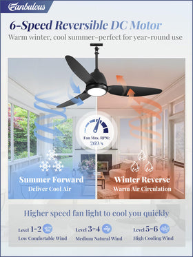 Fanbulous adjustable downrods and tilt for versatile outdoor mounting options.