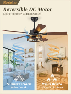Fanbulous reversible airflow supports summer cooling and winter warmth.