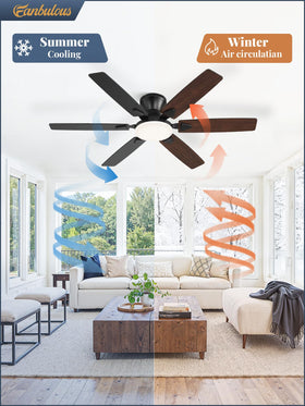 Fanbulous flush-mount low-profile installation saves ceiling space in tight rooms.
