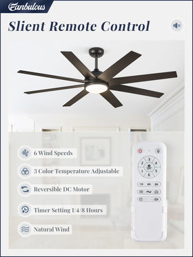 Fanbulous outdoor patio ceiling fan providing durable cooling for outdoor living spaces.