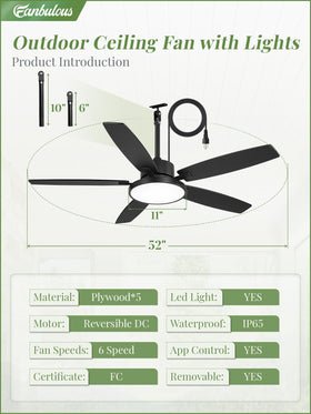 Fanbulous plywood blades resist moisture for durable outdoor performance
