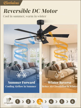 Fanbulous quiet operation keeps bedrooms calm and comfortable.