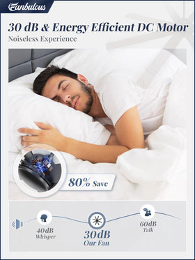Fanbulous quiet DC motor ceiling fan delivering cooling with minimal noise.