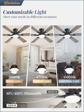 Fanbulous quiet DC motor keeps bedrooms peaceful