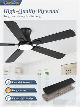 Fanbulous whisper-quiet DC motor keeps living spaces peaceful and restful