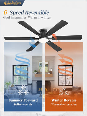 Fanbulous quiet reversible DC motor for year-round comfort with minimal noise.