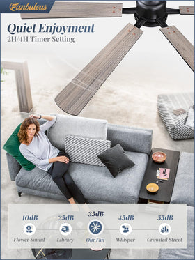 Fanbulous remote and app control showcasing six-speed settings and color temperature options.