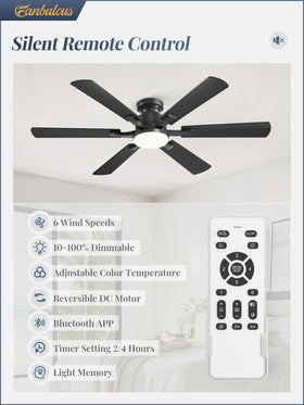Fanbulous remote and app control for easy wind and light adjustments