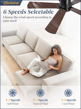 Fanbulous remote with wall-mount option lets you control from bed or sofa.
