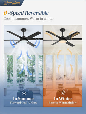 Fanbulous remote-controlled ceiling fan supports six speeds for personalized comfort.