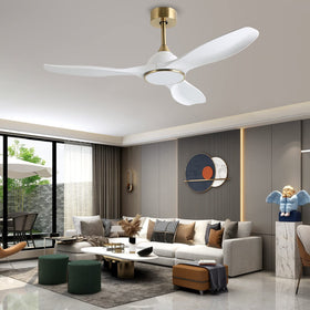 Fanliving easy installation with two downrods suits various ceilings.