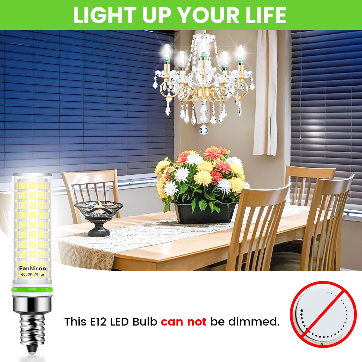 FanNicoo E12 LED bulb suitable for salt lamp ambience with daylight tone