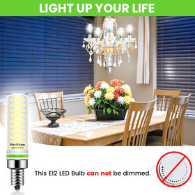 FanNicoo E12 LED bulb suitable for salt lamp ambience with daylight tone