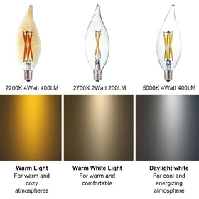 FANNIS clear glass LED filament bulb highlighting vintage look