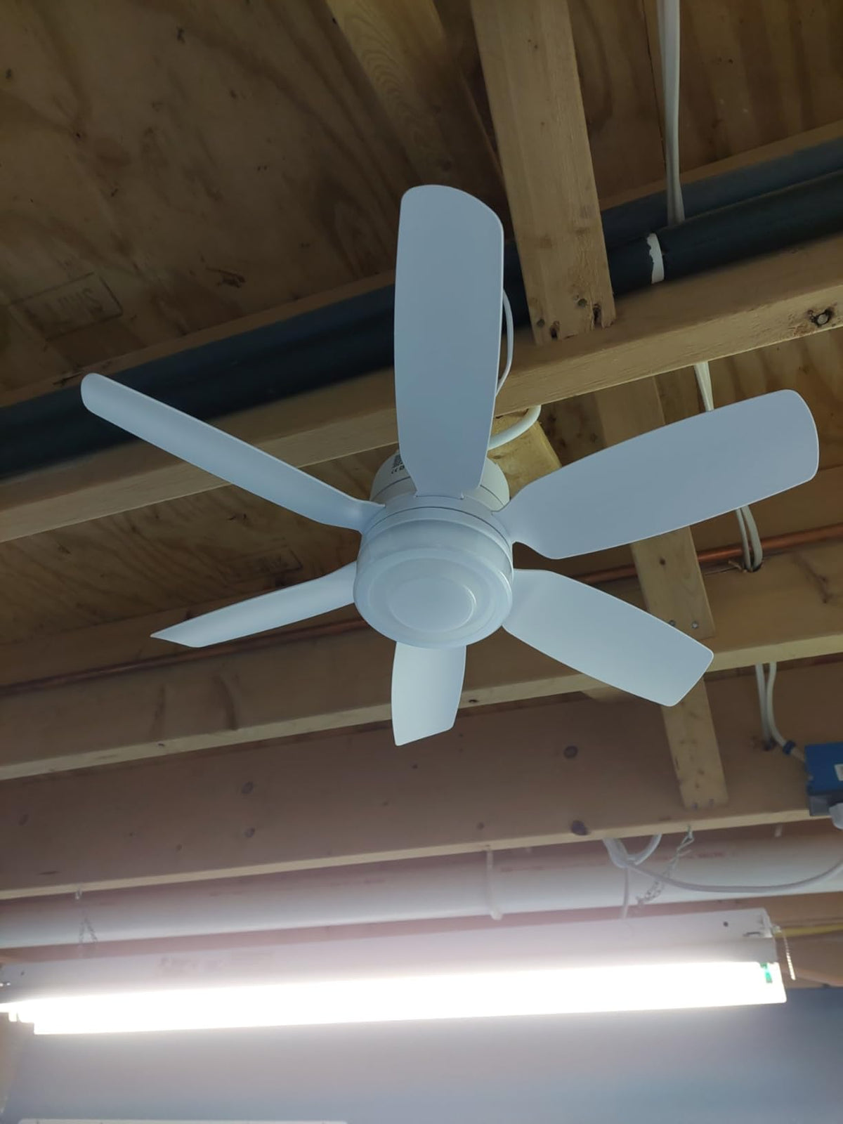 Outdoor Fanspex ceiling fan designed for gazebo installations.