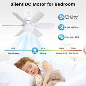 Fanspex color temperatures enable warm, natural, or cool lighting.