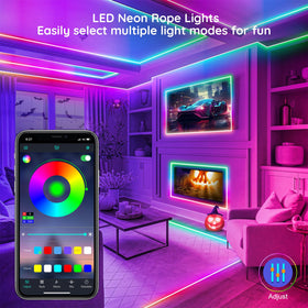 FBZ LED rope light app and remote control for easy color and mode changes.